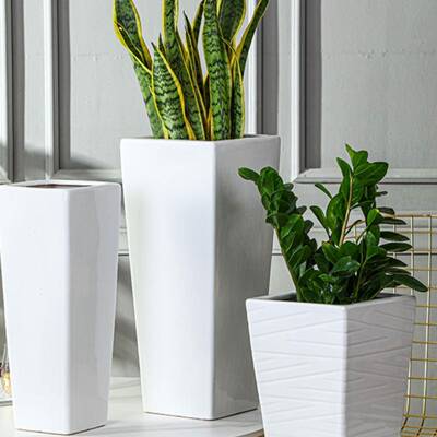 简约ns白色特号瑰四大方高筒陶瓷WGL盆客厅阳台鸟虎i皮兰玫包邮