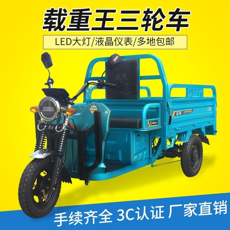 电动三轮车载重王拉货成人新款家用电瓶车拉货三轮车W快递车农用