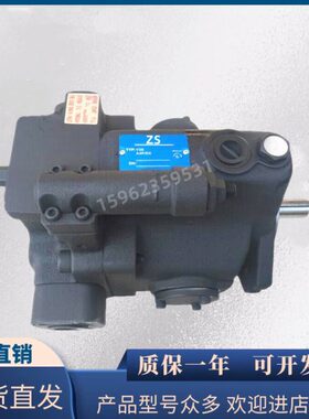 V15A2R10X V23A3R10X V38A4R10X台湾款柱塞泵变量柱塞泵V38A3R10X