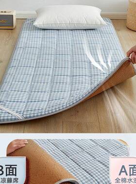 打冬夏两用F97MMM99凉席床宿舍儿童学生午床幼垫儿园午休睡垫地铺