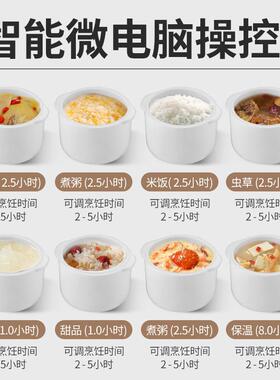 电炖锅家用自锅动隔全水炖燕窝炖盅陶瓷多能煲功汤小家电99050砂