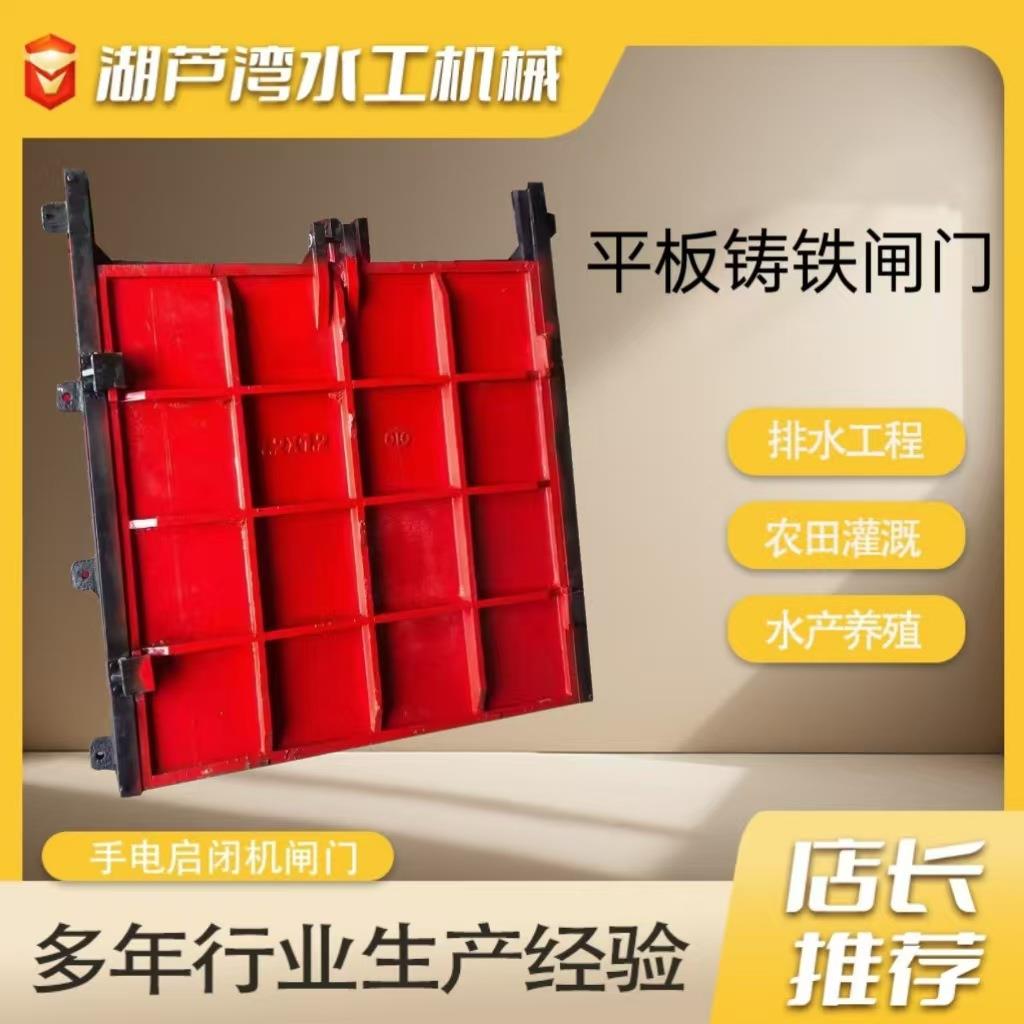 渠道闸铸铁闸门水工利程远程CMF控铁制水库电站止水铸镶铜门