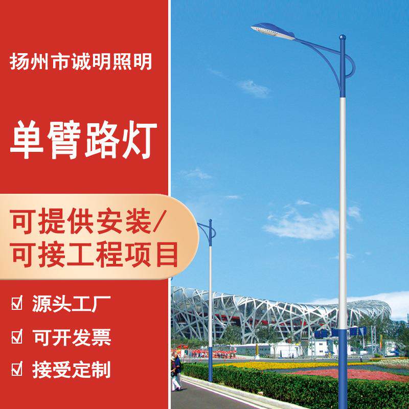 明led路灯户超大外灯杆新农诚村米灯头亮功率小区照明高THA杆灯