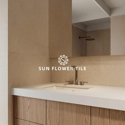 网红10056砖复古色质卫生间颗粒素砂感墙砖浴室客厅地砖海沁砂岩