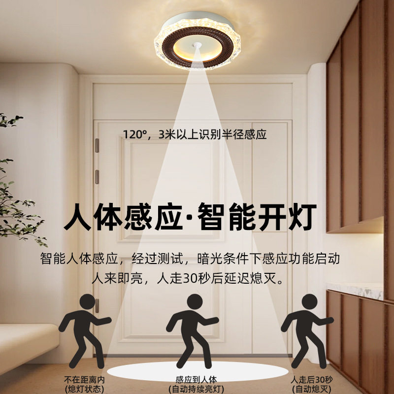 人体感应过道阳台灯走廊入户门卫生间中古风全光谱橱窗新款灯具图片