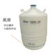 35升50口液氮罐 气站配 储存液氮生物容器 YDS 35L牛精小工件冷装