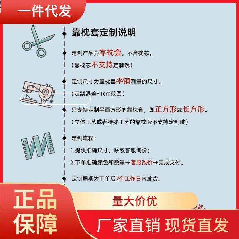 V45O靠枕套定制尺寸天鹅绒面料抱枕套沙发靠背套定做私人定制2