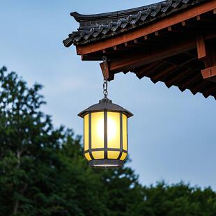 新中式户外吊灯屋檐仿古走廊灯笼过道宫灯凉亭庭院复古吸顶灯防水