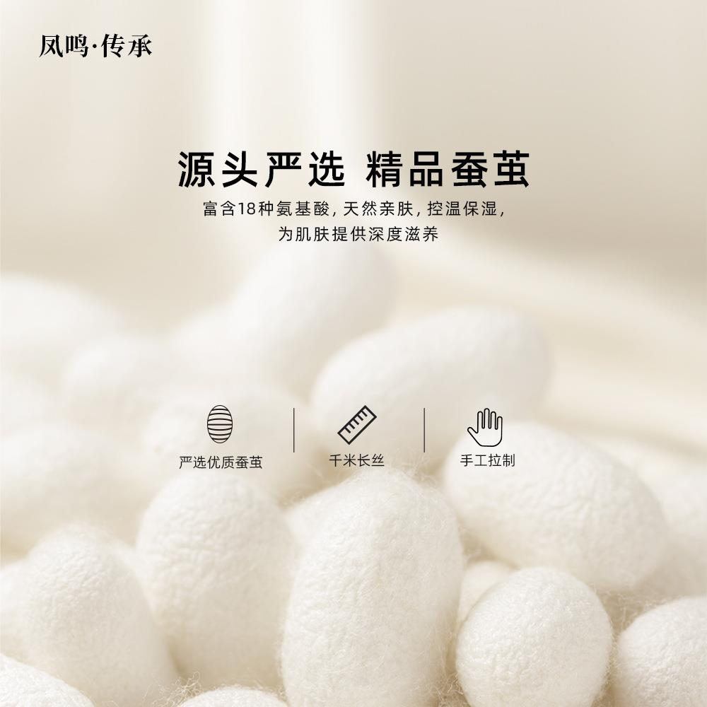 双蚕丝被夏被宫全棉优等品100销桑蚕丝160010子母被被芯厂直桐乡