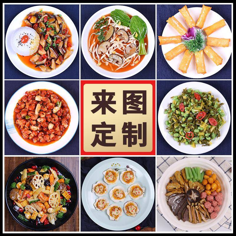 食物模型餐饮饭店餐馆菜品模型饭模型食物道具菜肴小吃模具