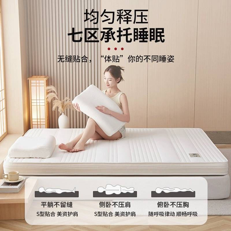 椰棕乳胶床垫软垫家用租房卧室宿舍学生单人榻榻米海绵垫褥子护脊