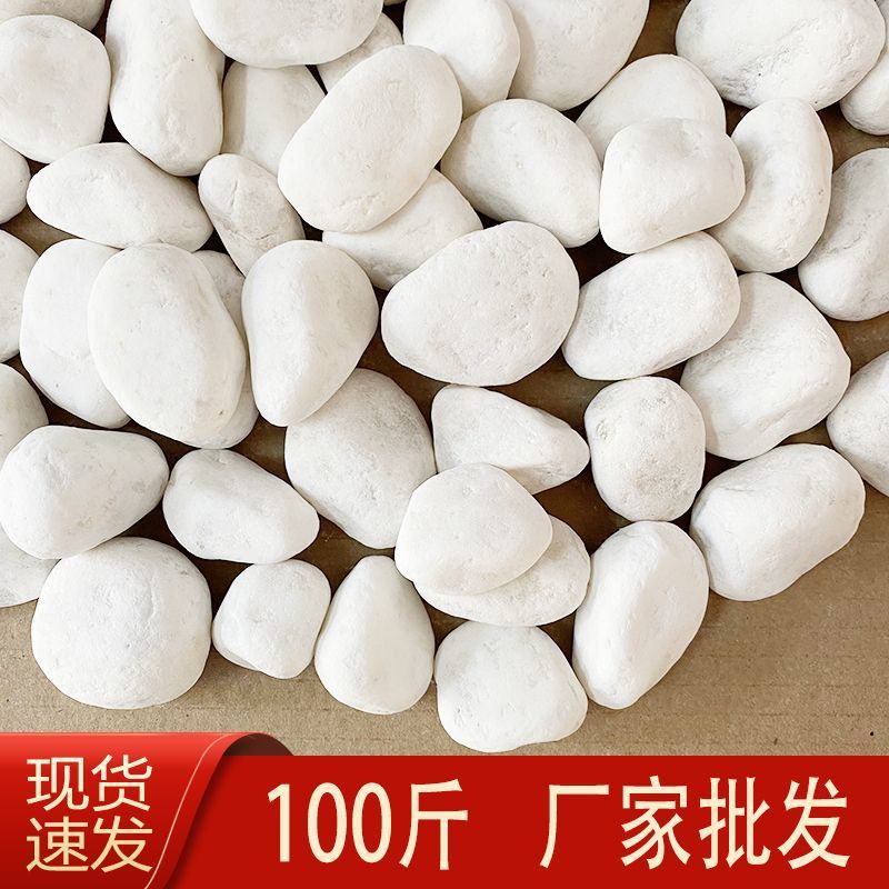 100斤白石子白色鹅卵石庭院造景白石头铺路花园阳台铺地白色砾石