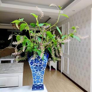 商陆花鲜花云南直发绿色鲜切枝水培绿植商路插花叶材陆商花鲜切花