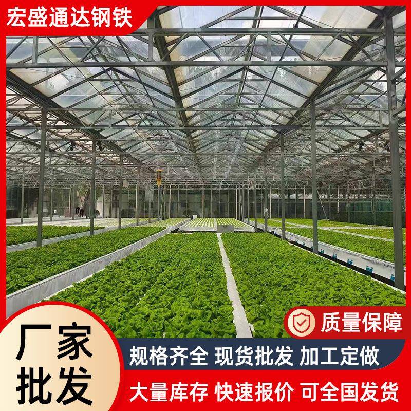 农业育苗棚设计安装温室日光暖棚草莓棚薄膜蔬菜种植插地棚