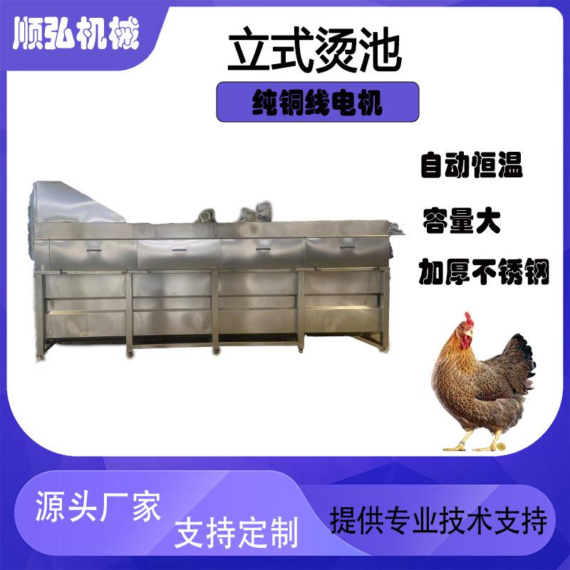 鸡鸭鹅立式烫池家禽屠宰脱毛烫毛机鸡鸭鹅烫毛池立式鸽子烫毛