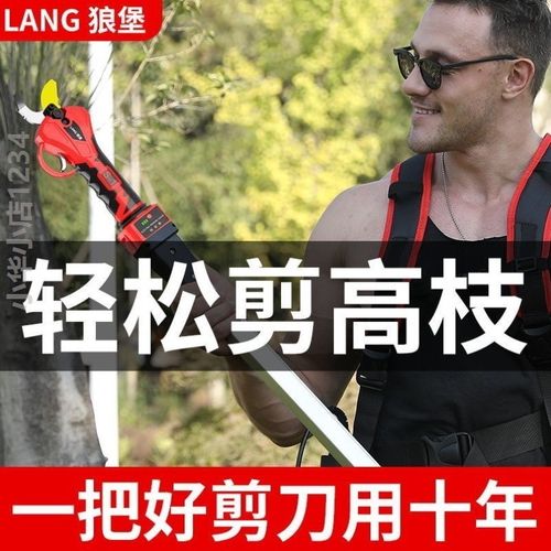 电动剪刀果树修j枝剪刀充电式无线锂电修枝剪电动剪树枝剪刀园林