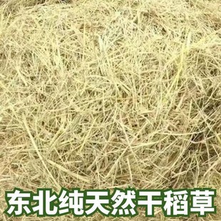 新稻草天然宠物鸡窝草干稻草牛羊猪饲料狗鸭窝草道具谷草秸秆