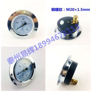 压力表 Y100ZT 安装 面板式 多种规格量程 1.6MPA轴向带边压力表