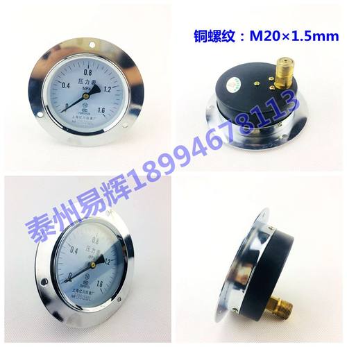 Y100ZT 1.6MPA轴向带边压力表 面板式安装压力表 多种规格量程