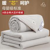 合一棉子母纤维ZMB 新款 A类大二豆被子拉链款 0000冬加厚被套被被