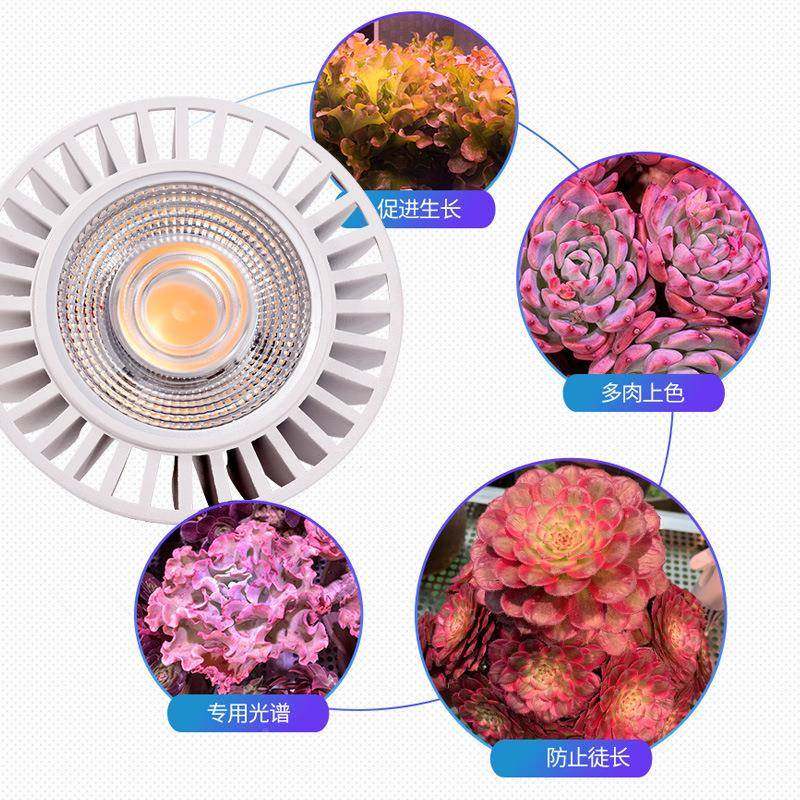 植物补生长仿太阳全光谱灯泡爆灯藻家用上色室内日多SNN照肉光灯