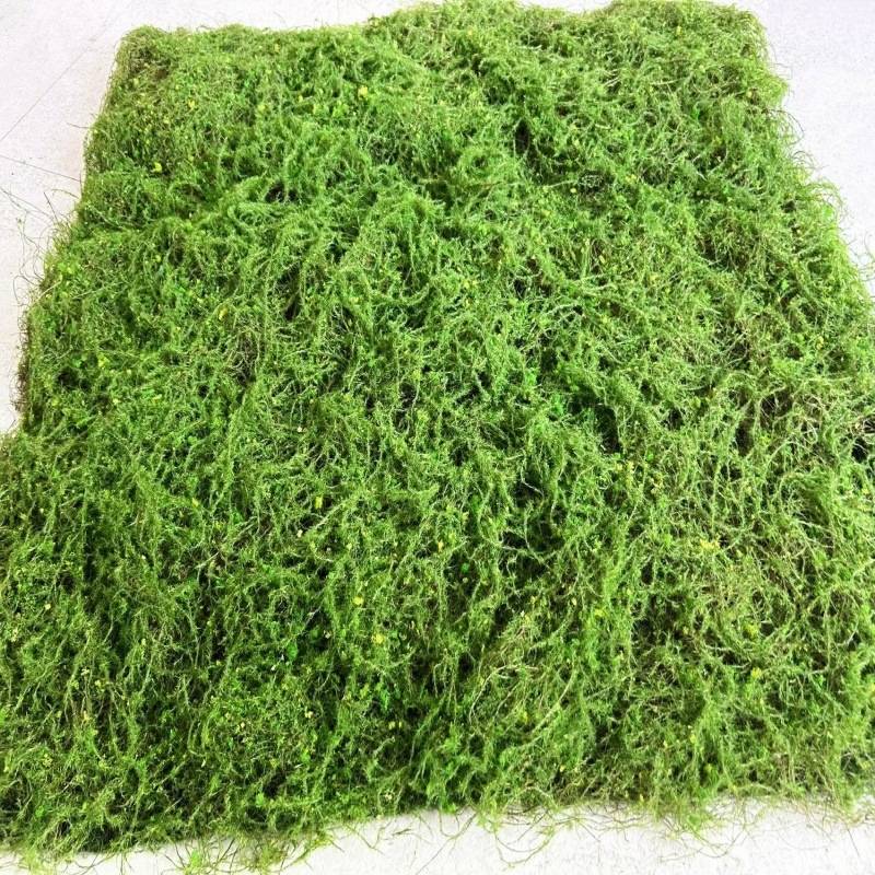 双色草坪珍珠棉植绒毛+永生苔藓地毯青苔墙园林软装假山沙盘造景