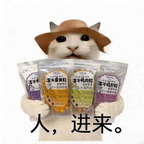 OTES宠物冻干鸭肉清热去火猫零食