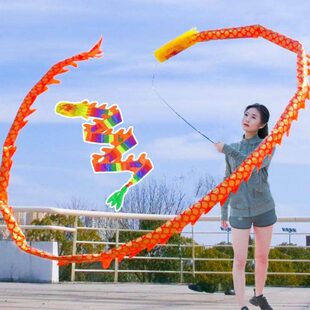 儿童舞龙彩带健身甩龙幼儿园表演道具广场彩带手耍龙空竹龙杆甩龙