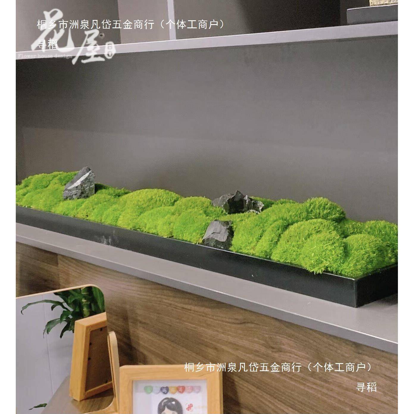 植长条形生永微苔藓会议室景观摆设售楼处茶室桌面装tj#yyu+l饰物