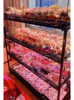 7K铁牛室内多肉植物LDDC02花补光灯架多层可动带轮多移锥花肉盆架