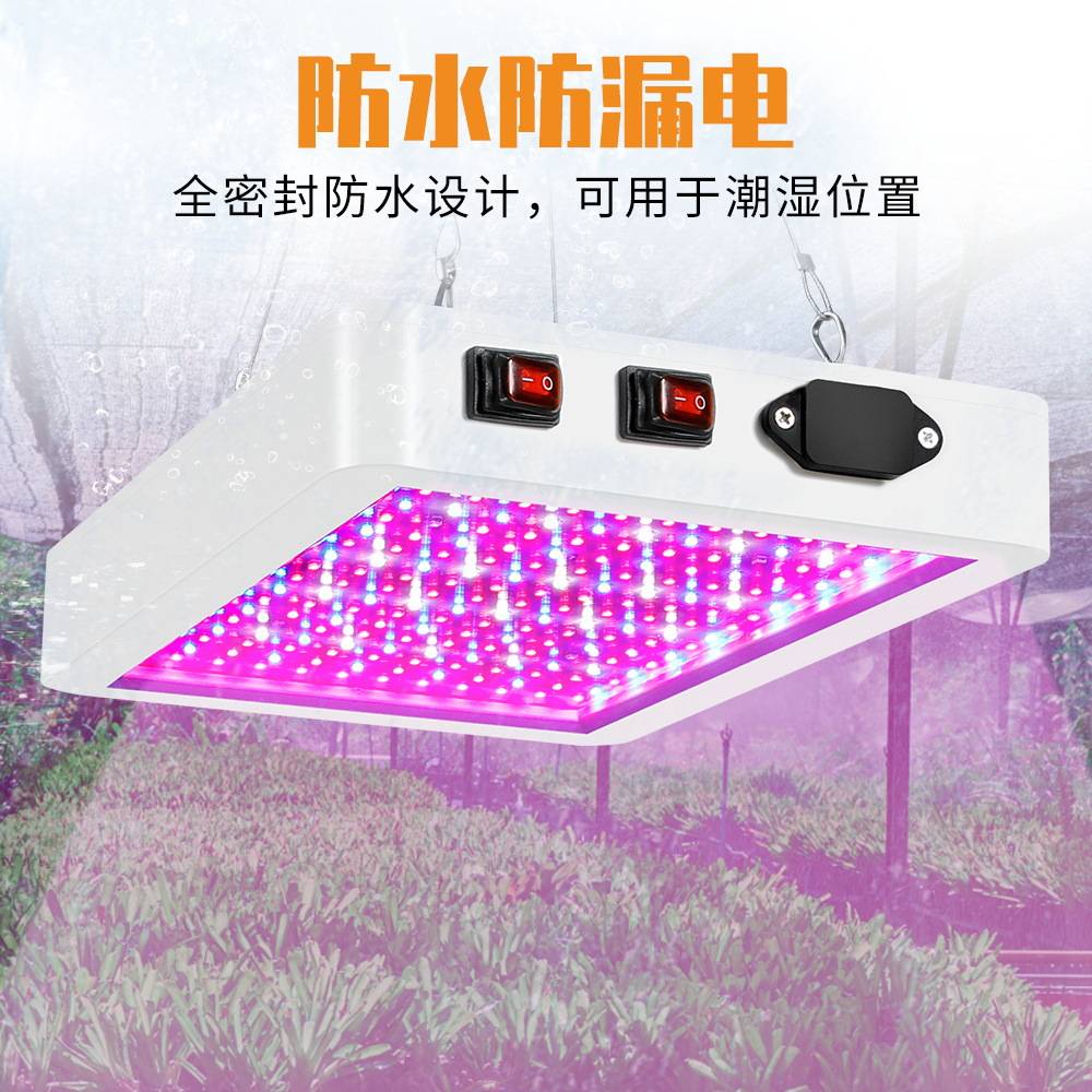 谦润照明LED全光谱2000W植物生长灯1000W盆栽灯防水可调光双模式