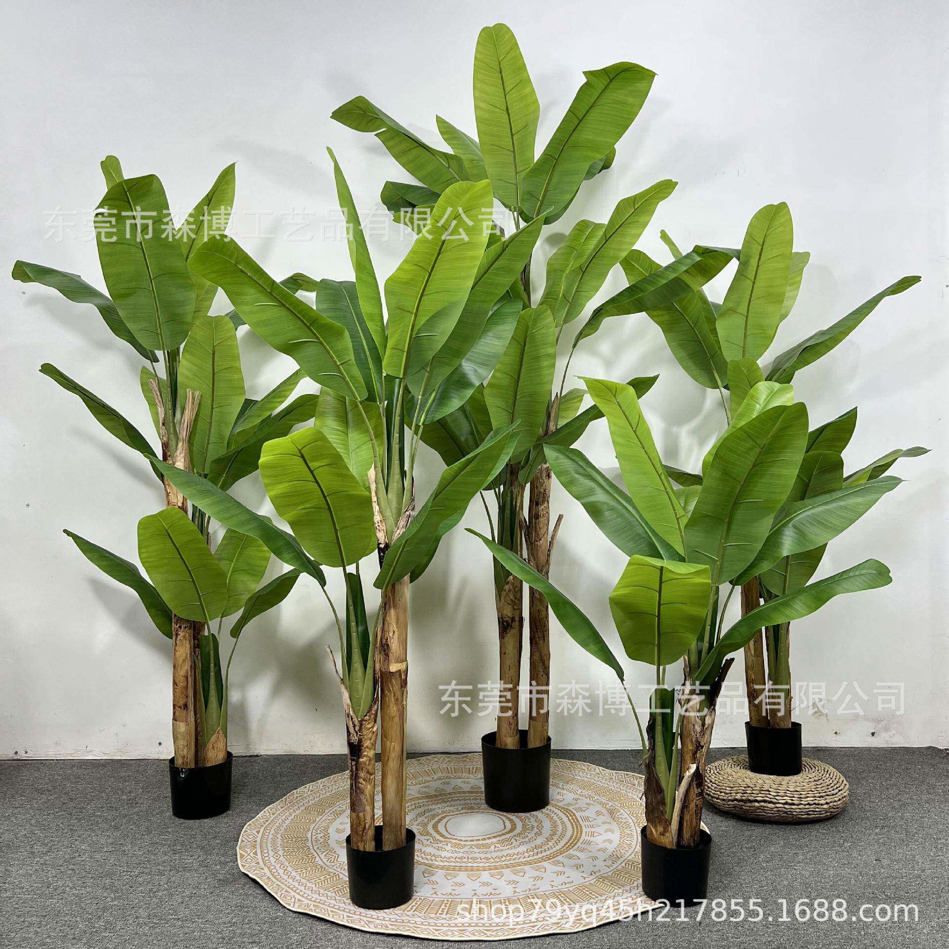 大型仿真大叶子SB-BJS-9芭蕉树装饰仿植生绿造室内景高植端物假树