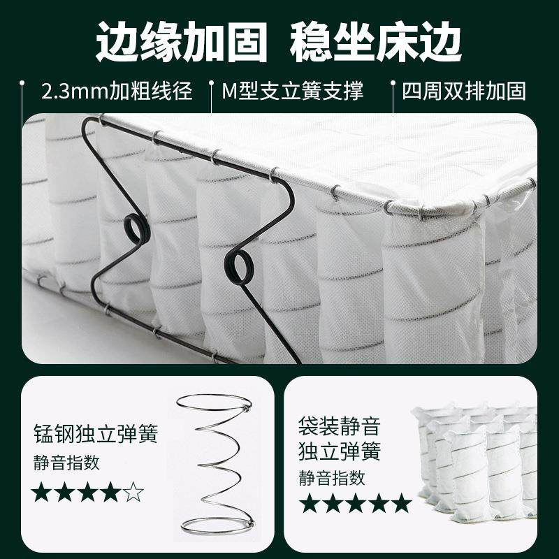 绽美娅席梦思床弹垫硬垫201NVXm厚家用软垫.8米双人c椰棕乳胶簧床