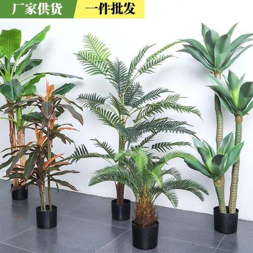 仿真绿植盆景热带风沙漠龙舌兰室内酒店造景装饰落地假植物盆栽