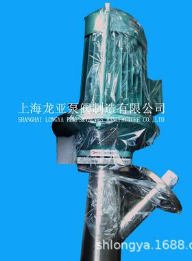 销售GL40带升降机凉皮料浆泵自动肉浆料泵