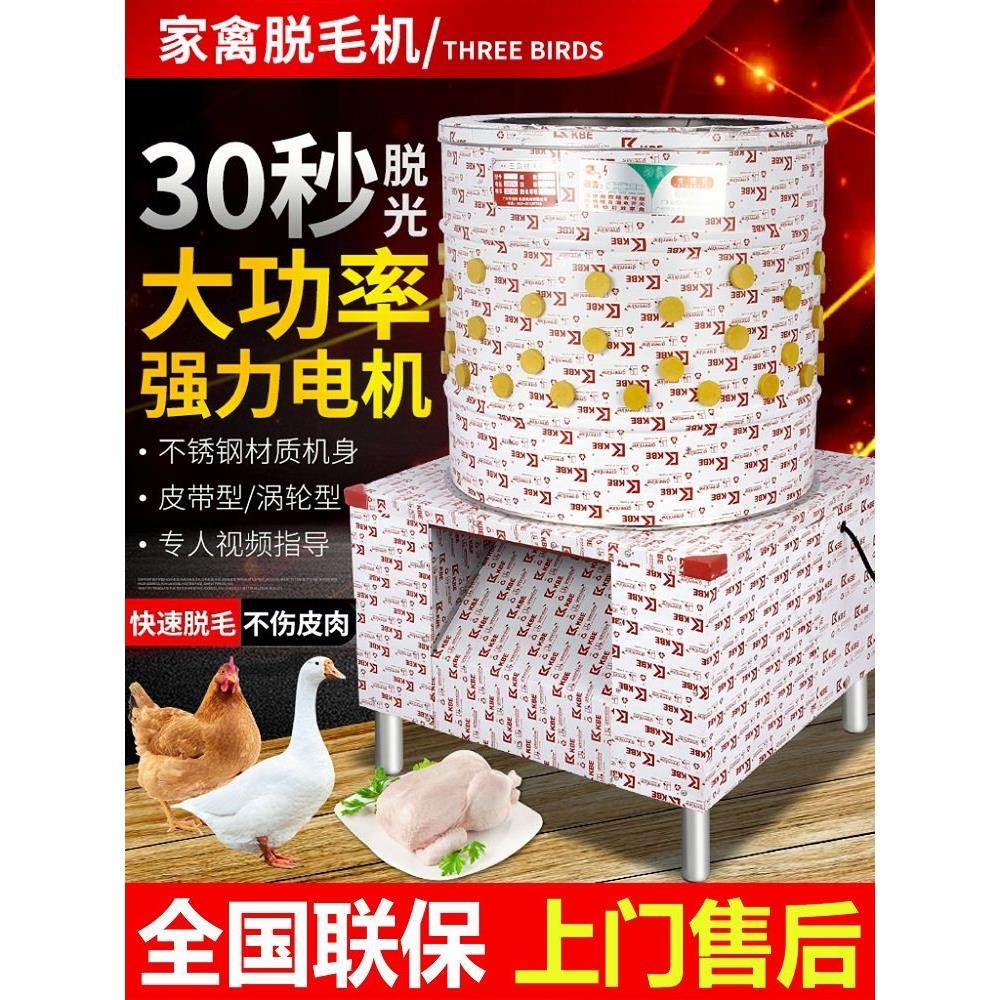 商用三鸟脱毛机鸡鸭鹅电动家禽乳猪去毛拔毛机不锈钢洗番薯土豆机