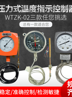 WTZK-02型温度控制器测液体气体油温计温度表PT100信号BWY-02华立