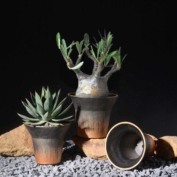 潮玩块根严龙黑王丸龟甲龙专用盆象足漆树龙舌兰潮流个性黑金花盆,家居饰品,花盆,淘宝优惠券,粉丝福利购,淘宝优惠卷