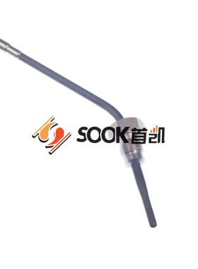 汽车尾气废传排温感器温度传感器07C91952SKT-17629L07C919529气A