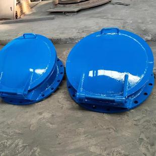 钢玻璃拍门钢制拍门圆形772防倒灌闸门厂dn200法兰铸造家玻璃钢拍