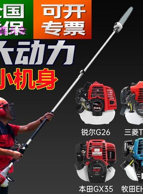 德国进口高枝锯树锯子汽油高枝油锯伸缩加长杆园林高空修枝剪树锯