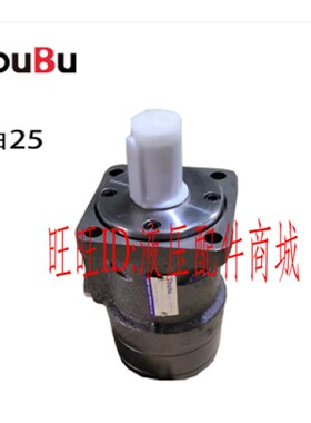 液压马达/BMR80/50/100/125/160/200/250/315/400/油压BM1/BM2
