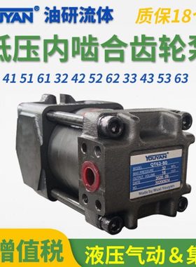 QT31/43-20/25内啮合31.5齿轮泵41/52/53-40/50/50住友型51/63-80