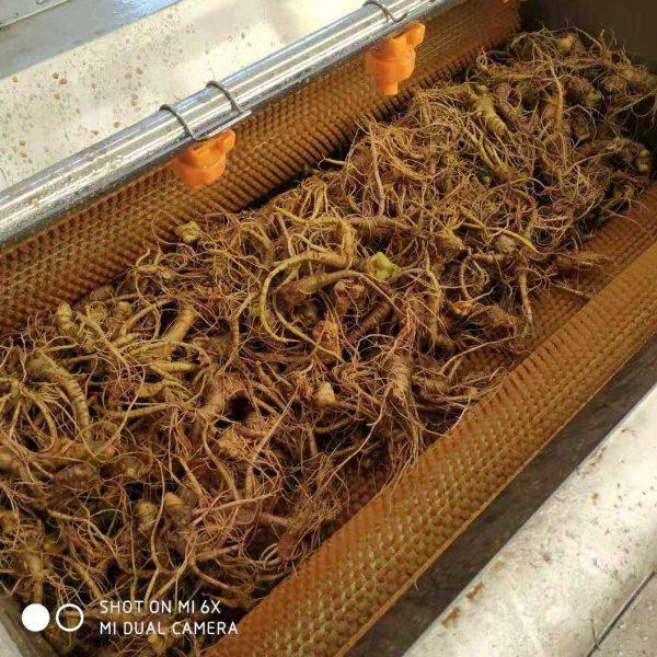 大型去杂质清洗机 不锈钢带鱼去麟机 海鲜类清洗机现货试机,厨房电器,其他商用厨电,淘宝优惠券,粉丝福利购,淘宝优惠卷