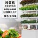 智能种菜机无土栽培水培蔬菜设备种植机家庭多层自动立体种菜神器