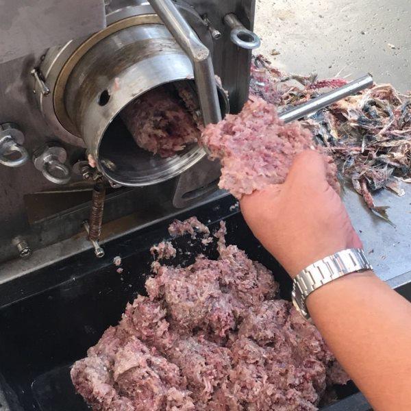 海鲜丸子加工成套设备价格商用鱼肉采肉机 泥鳅螃蟹虾挤肉机厂家,清洗/食品/商业设备,肉制品加工设备,淘宝优惠券,粉丝福利购,淘宝优惠卷