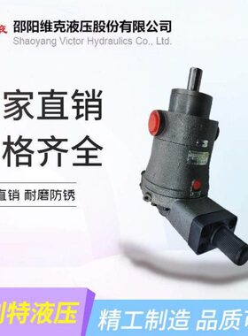 邵阳维克 10/25/40/63/80/160/250YCY14-1B 轴向柱塞泵