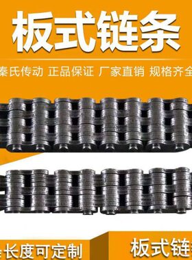 板式链条 LH0644 LH0834 LH0844 LH1034 LH1244 提升链 叉车链