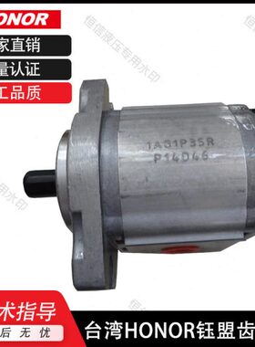 HONOR钰盟齿轮泵2GG1P16R 2GG1P04R 2GG1P05R 2GG1P06R液压油泵