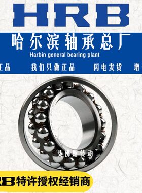 HRB哈尔滨双列调心球轴承1216 1217 1218 1219 1220 1222 1224ATN